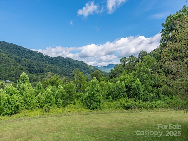 337 Split Pine Cv, Clyde, NC 28721 - photo 6