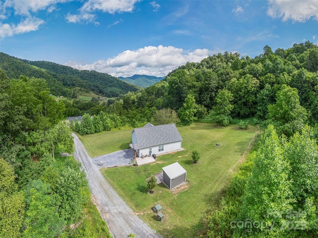 337 Split Pine Cv, Clyde, NC 28721 - photo 26