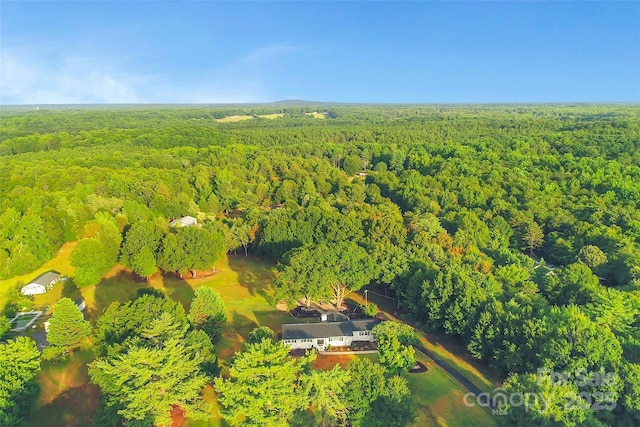 820 Green Pond Rd, Clover, SC 29710 - photo 47