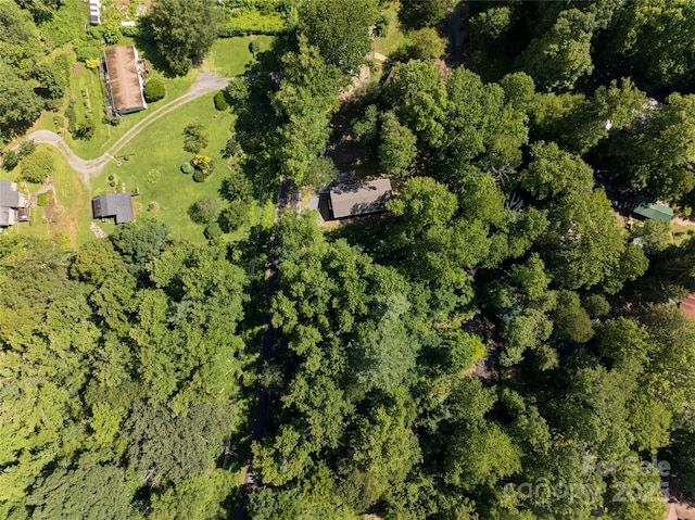 321 Flat Creek Rd, Black Mountain, NC 28711 - photo 32