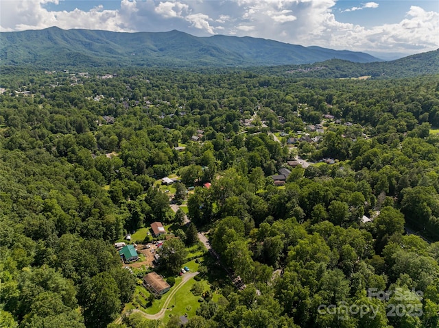 321 Flat Creek Rd, Black Mountain, NC 28711 - photo 33