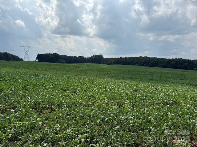 00 Snyder Store Rd, Wingate, NC 28174 - photo 2