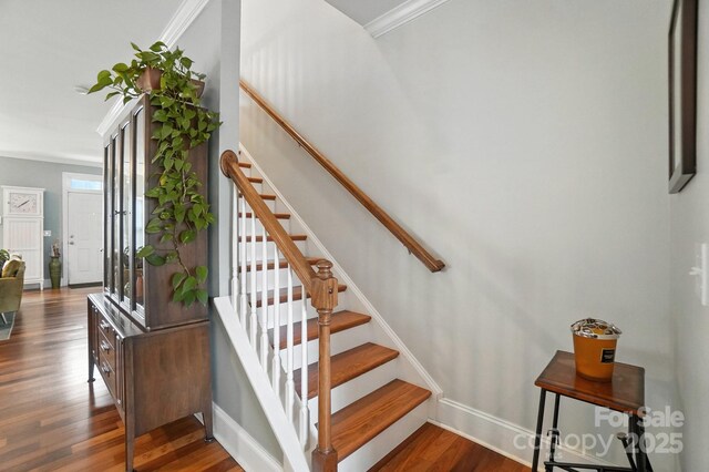 349 Armour St, Davidson, NC 28036 - photo 17
