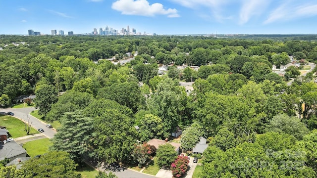 1029 Sewickley Dr, Charlotte, NC 28209 - photo 42