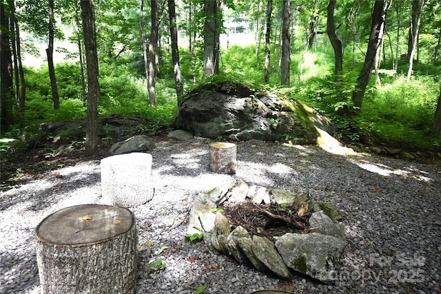 120 Spotted Fawn Ln, Waynesville, NC 28785 - photo 36