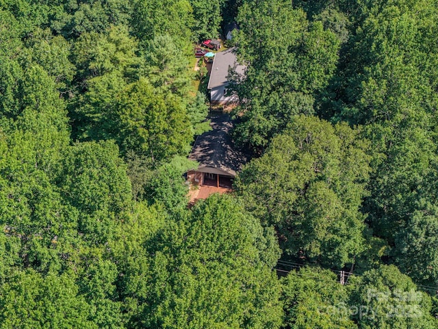 17 Sitar Ln, Saluda, NC 28773 - photo 14