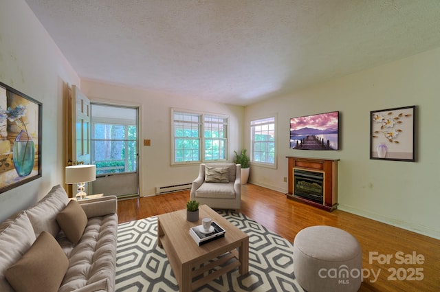17 Sitar Ln, Saluda, NC 28773 - photo 19