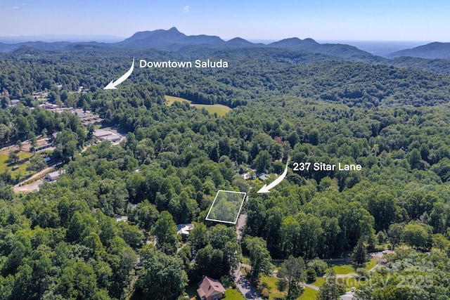 17 Sitar Ln, Saluda, NC 28773 - photo 27