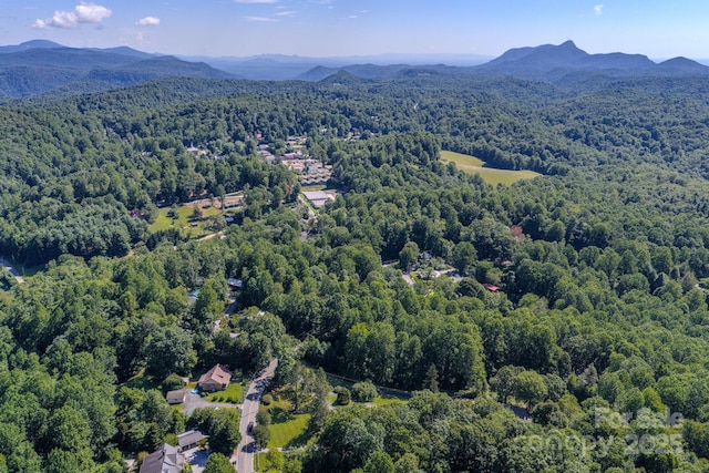 17 Sitar Ln, Saluda, NC 28773 - photo 28