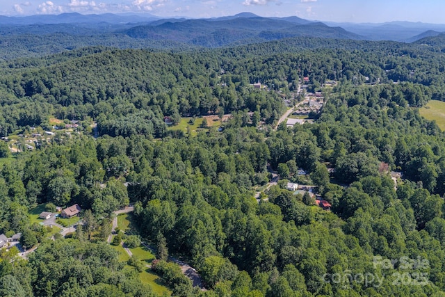 17 Sitar Ln, Saluda, NC 28773 - photo 29
