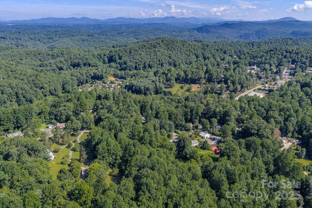 17 Sitar Ln, Saluda, NC 28773 - photo 30