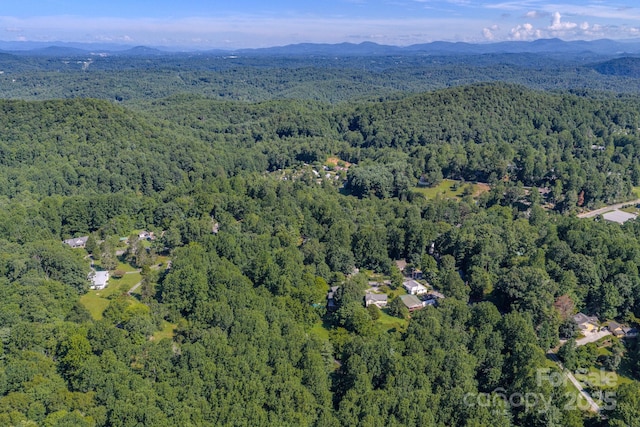 17 Sitar Ln, Saluda, NC 28773 - photo 31