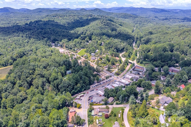 17 Sitar Ln, Saluda, NC 28773 - photo 32