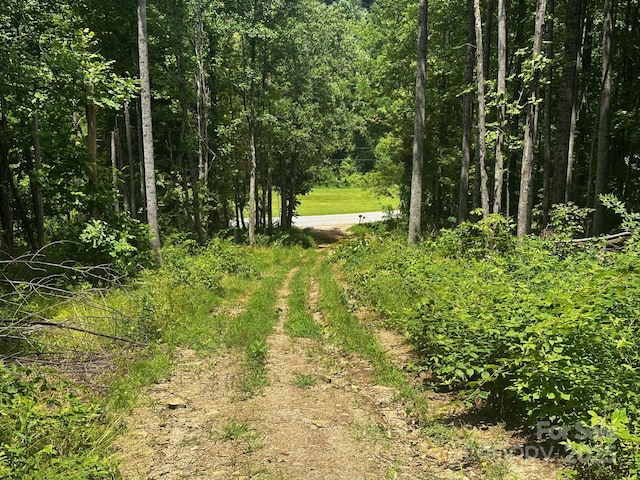 6177 Pinnacle Mountain Rd, Zirconia, NC 28790 - photo 1