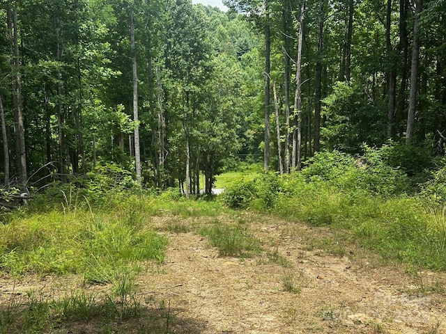 6177 Pinnacle Mountain Rd, Zirconia, NC 28790 - photo 2