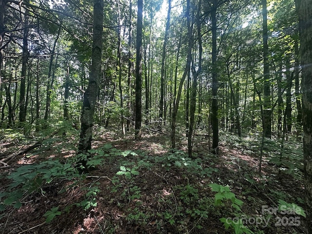6177 Pinnacle Mountain Rd, Zirconia, NC 28790 - photo 3