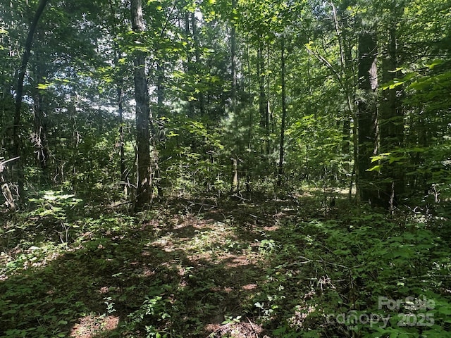 6177 Pinnacle Mountain Rd, Zirconia, NC 28790 - photo 5