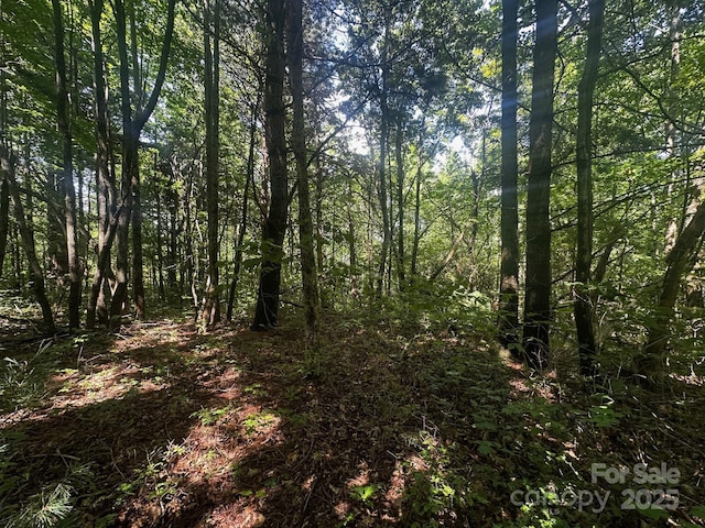 6177 Pinnacle Mountain Rd, Zirconia, NC 28790 - photo 7