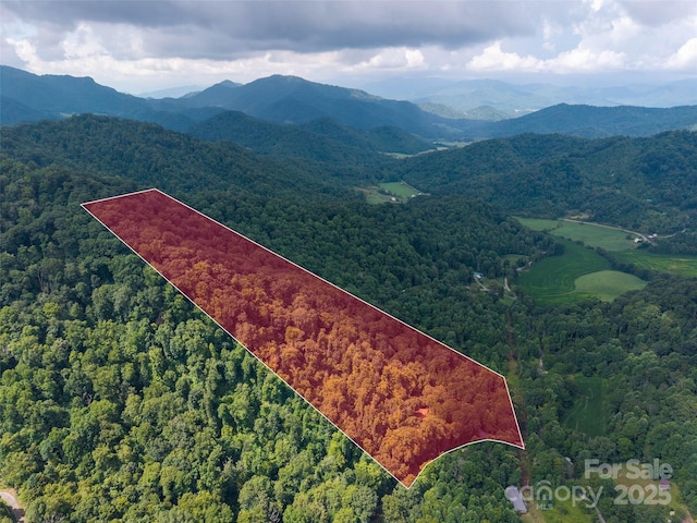 00 Sugar Cove Rd, Clyde, NC 28721 - photo 1