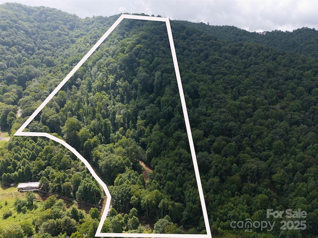 00 Sugar Cove Rd, Clyde, NC 28721 - photo 2