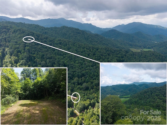 00 Sugar Cove Rd, Clyde, NC 28721 - photo 3