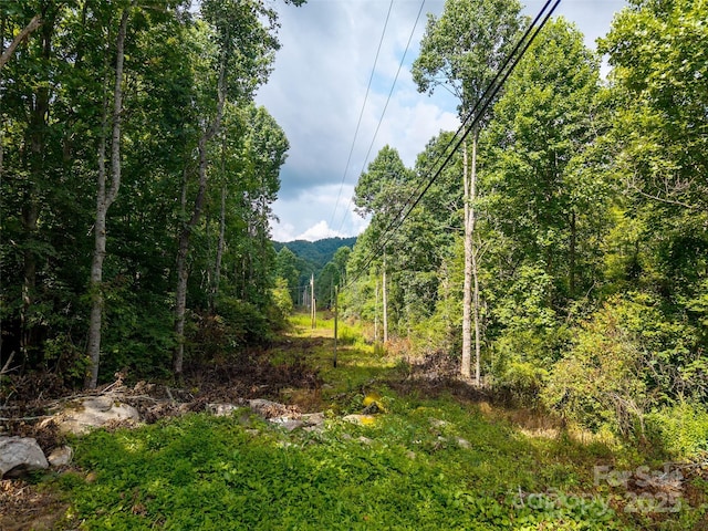 00 Sugar Cove Rd, Clyde, NC 28721 - photo 4