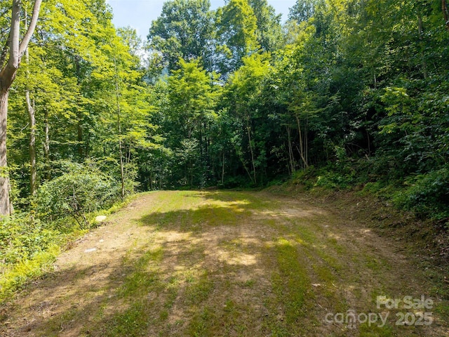 00 Sugar Cove Rd, Clyde, NC 28721 - photo 6