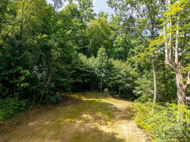 00 Sugar Cove Rd, Clyde, NC 28721 - photo 7