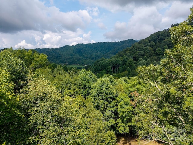 00 Sugar Cove Rd, Clyde, NC 28721 - photo 8