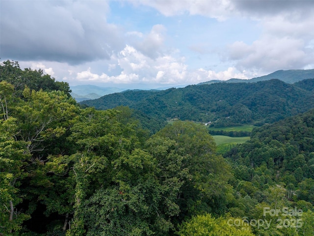 00 Sugar Cove Rd, Clyde, NC 28721 - photo 9