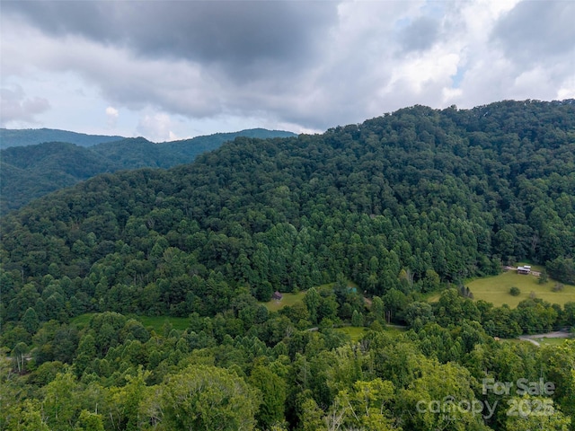00 Sugar Cove Rd, Clyde, NC 28721 - photo 10