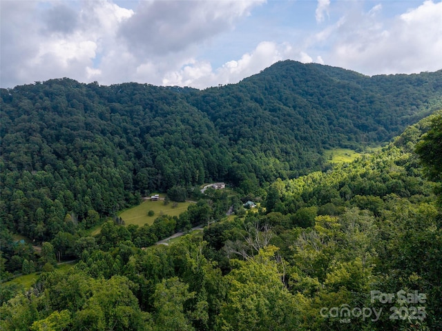 00 Sugar Cove Rd, Clyde, NC 28721 - photo 11