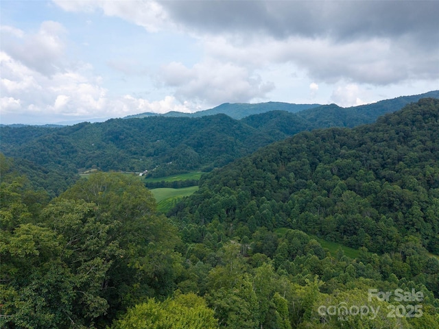 00 Sugar Cove Rd, Clyde, NC 28721 - photo 12