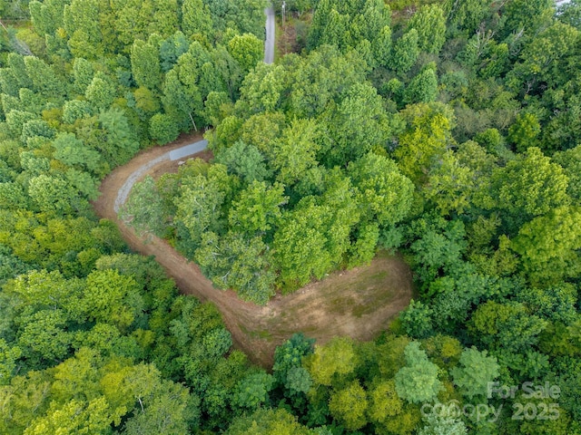 00 Sugar Cove Rd, Clyde, NC 28721 - photo 13