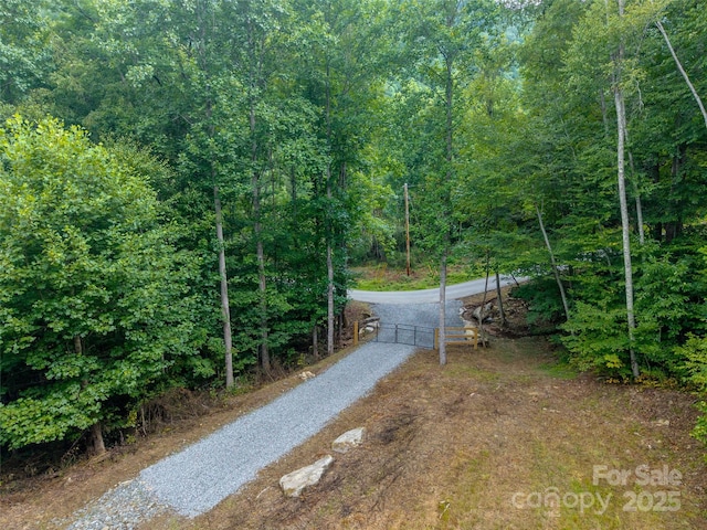 00 Sugar Cove Rd, Clyde, NC 28721 - photo 14