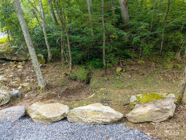 00 Sugar Cove Rd, Clyde, NC 28721 - photo 15