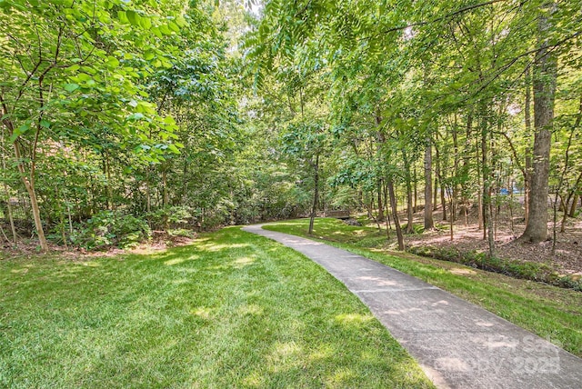 10080 Paisley Dr, Charlotte, NC 28269 - photo 33