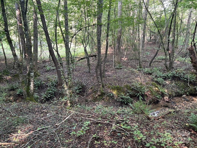 00 Freeman Rd, Bostic, NC 28018 - photo 3