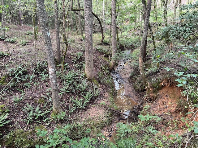 00 Freeman Rd, Bostic, NC 28018 - photo 5