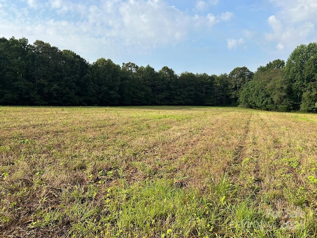 00 Freeman Rd, Bostic, NC 28018 - photo 7