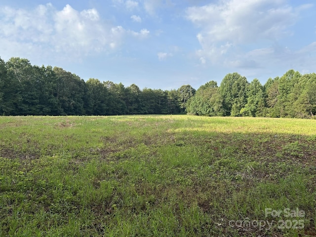 00 Freeman Rd, Bostic, NC 28018 - photo 8