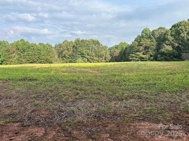 00 Freeman Rd, Bostic, NC 28018 - photo 9