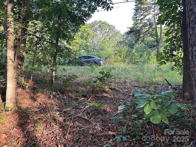 00 Freeman Rd, Bostic, NC 28018 - photo 14