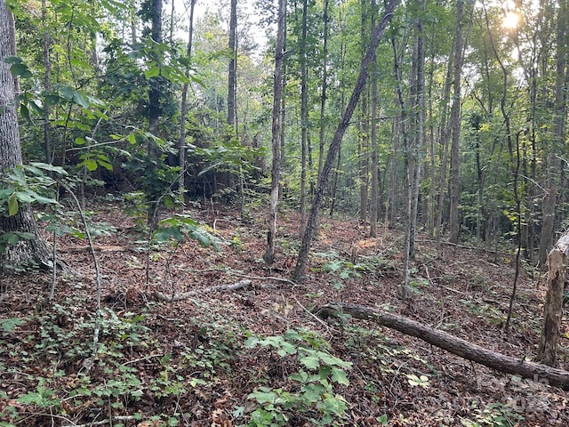 00 Freeman Rd, Bostic, NC 28018 - photo 15