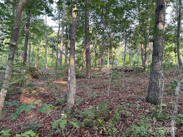 00 Freeman Rd, Bostic, NC 28018 - photo 16