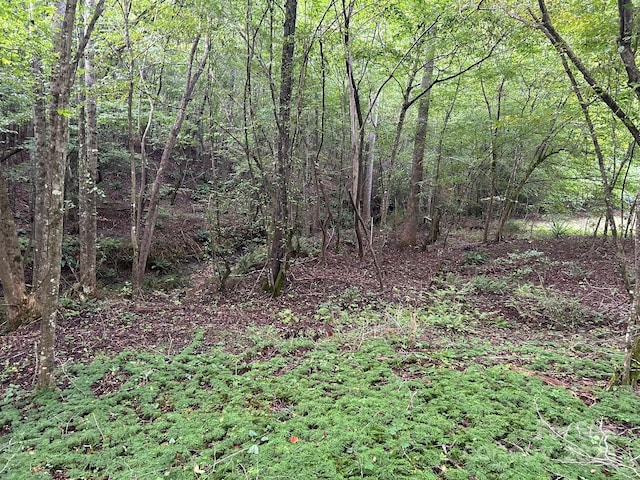 00 Freeman Rd, Bostic, NC 28018 - photo 18