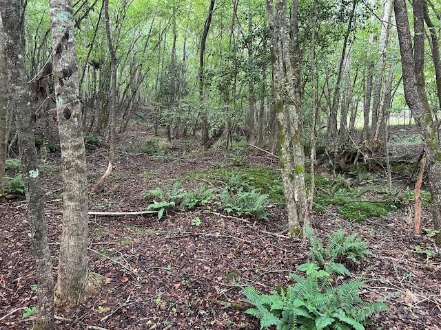 00 Freeman Rd, Bostic, NC 28018 - photo 19