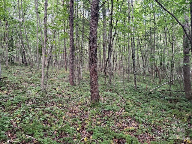 00 Freeman Rd, Bostic, NC 28018 - photo 25