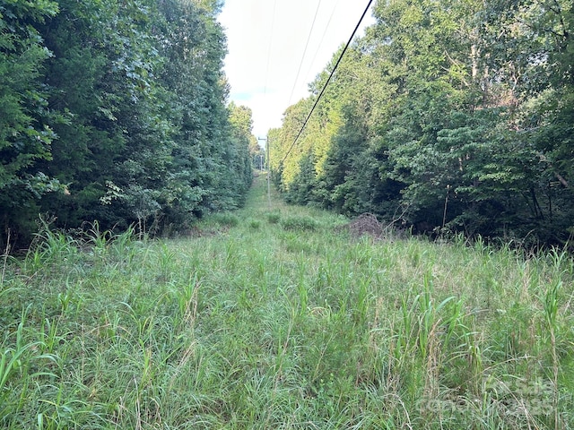 00 Freeman Rd, Bostic, NC 28018 - photo 27