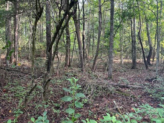 00 Freeman Rd, Bostic, NC 28018 - photo 29